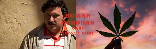 молекула духа Балахна