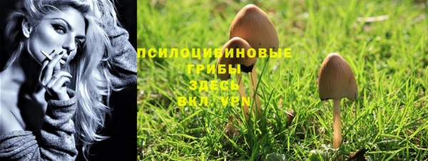 молекула духа Балахна