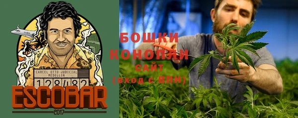 молекула духа Балахна