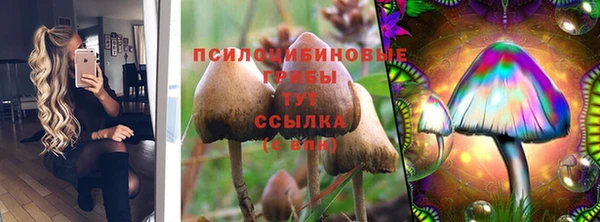 молекула духа Балахна