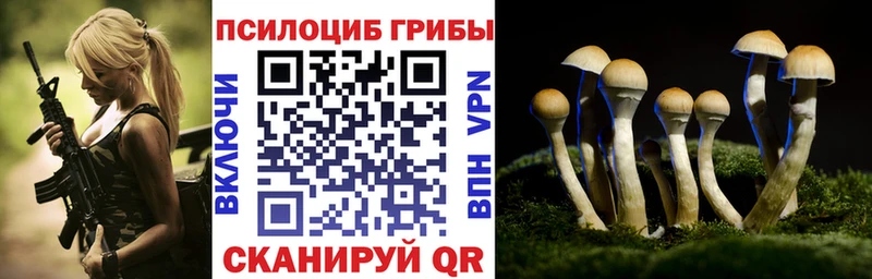 Псилоцибиновые грибы Magic Shrooms  OMG как зайти  Петровск-Забайкальский 
